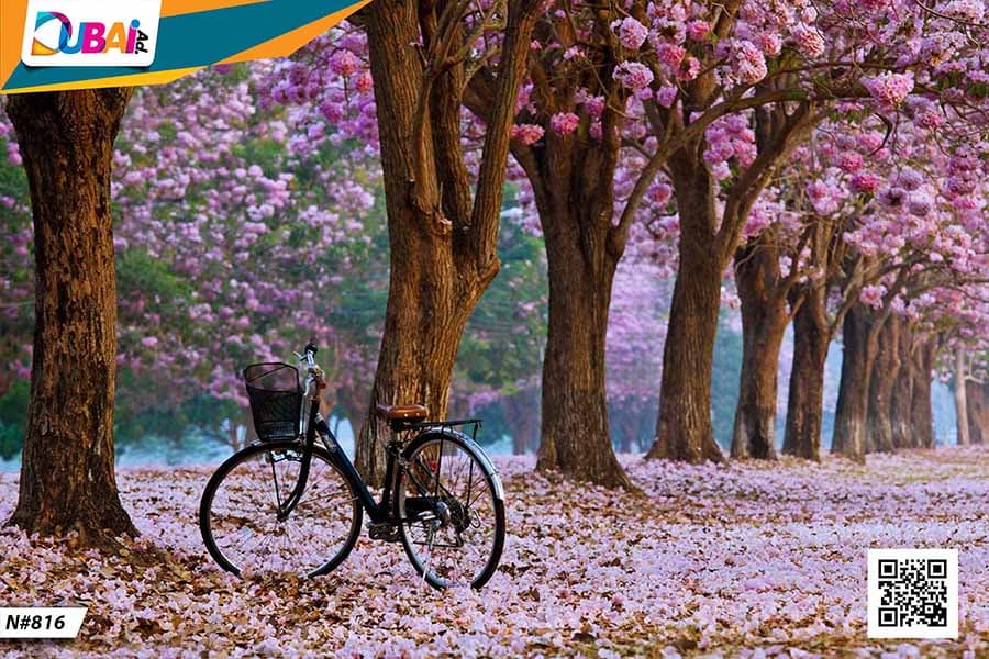 Nature wallpaper design WP-NAT-006 by DubaiAd.