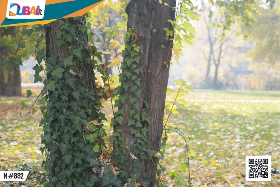 Nature wallpaper design WP-NAT-024 by DubaiAd.